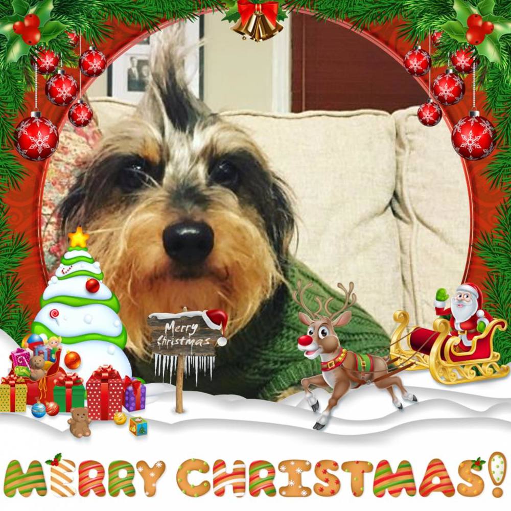 Meet your Posher, Patty